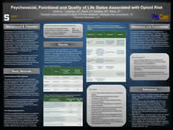 Psychosocial, Functional and Quality of Life Status Associated with Opioid Risk